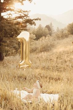 a baby laying in the grass with a gold balloon