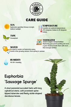 an info sheet describing the different types of plants and how they are grown in them