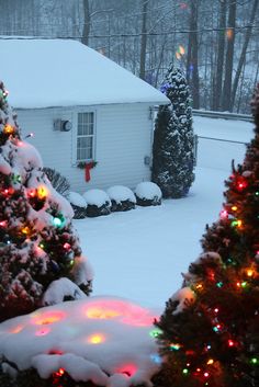 christmas trees in front of a white house with lights on them and snow covering the ground