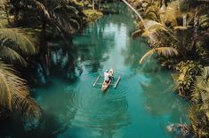 a person in a boat on a river surrounded by palm trees and other greenery