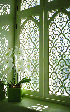 a potted plant sitting in front of a window covered in filigrees