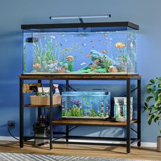 a fish tank sitting on top of a wooden shelf