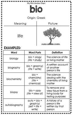 a worksheet with words and pictures to help students learn how to read the text