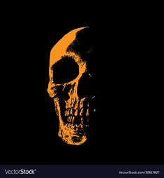 a skull with an orange glow on it's face