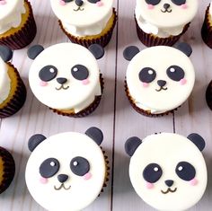 there are many cupcakes with panda faces on them