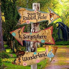 wooden signs pointing to different locations in the woods with words down the rabbit hole and somewhere wonderland written on them