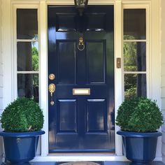 two potted plants sit on the front steps of a house with blue doors and windows