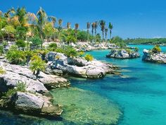 the water is crystal blue and clear with palm trees on both sides in front of it