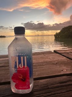 a water bottle with a red flower in it sitting on a wooden dock next to the ocean