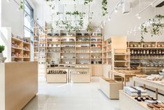 a store filled with lots of shelves covered in plants