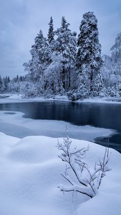 a snowy landscape with trees and water in the background