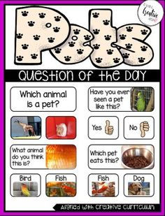 an animal themed question card with pictures and captions to describe what is in the dog's food