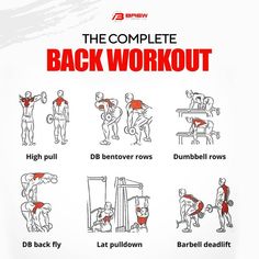 the complete back workout poster with instructions