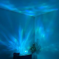 a room with blue lighting and a plant in the corner