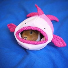 a small rodent in a pink and white shark costume on a blue blanket with it's mouth open