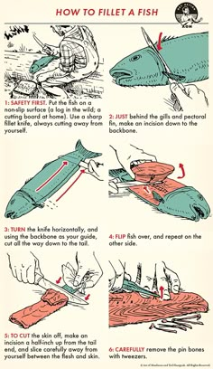 instructions on how to fill a fish