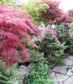 the garden is full of colorful plants and trees, including red leaves on the tree