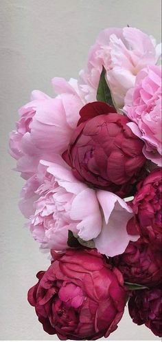 a vase filled with pink and white flowers