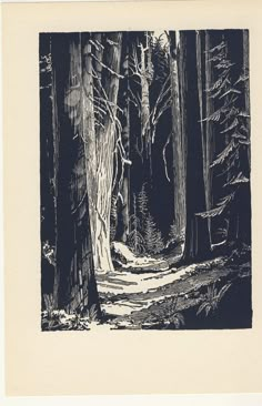 a black and white drawing of a path in the middle of a forest with tall trees