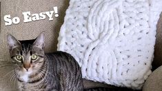 a cat sitting on top of a couch next to a white knitted throw pillow