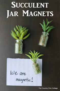 three jars with plants in them and a sign that says, succulentt jar magnets we are magnetic