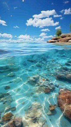 the water is very clear and blue with rocks in it, as well as some trees