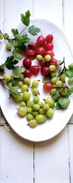 grapes and green leaves on a white plate