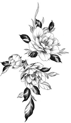 black and white flowers with leaves on the bottom half of their petals are drawn in pencil