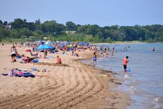 many people are on the beach and in the water