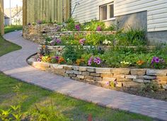 a garden with flowers and plants growing on the side of a house next to a brick walkway