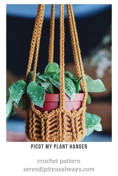 a crochet plant hanger with potted plants in it and text overlay that reads, picot my plant hanger