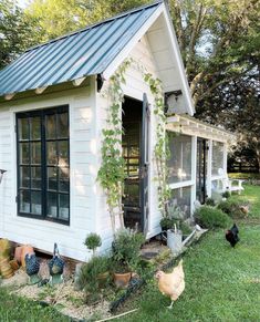 the chickens are standing in front of the chicken coop and next to it is a shed