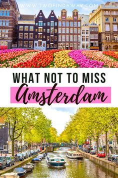 the canals in amsterdam with text overlay that says what not to miss ansterdaln