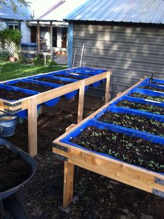 several raised garden beds with plants growing in them