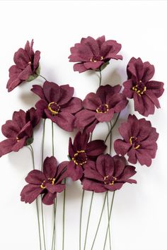 purple flowers with yellow stamens are arranged in a row on a white background