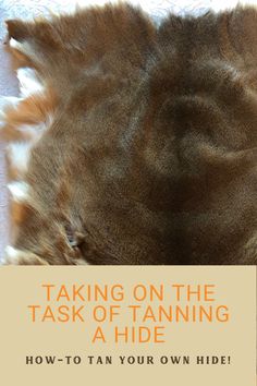 the back end of a cat's head with text over it that reads, taking on the task of tanning a hide how to tan your own hide