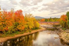 a river running through a forest filled with lots of colorful trees next to a covered bridge