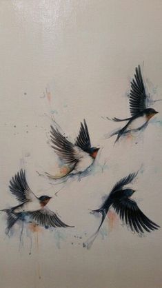 three birds flying in the air with their wings spread