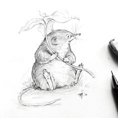 Shrew Tattoos, Shrew Illustration, Shrew Drawing, How To Draw A Mouse, Sketches Pen, Mouse Drawings, Adventure Illustration, Mythical Creatures Drawings, Mouse Sketch