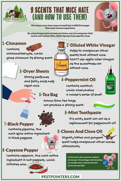 a poster with instructions on how to use vinegar