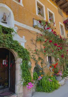 the building has many flowers growing on it