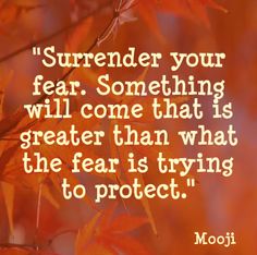 a quote from mooji that says, i'm sure your fear something will come that is greater than what the fear is trying to protect