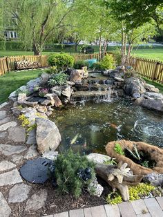 a small pond in the middle of a yard