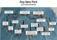 an assortment of surgical instruments displayed on a blue sheet with instructions for each item in the package