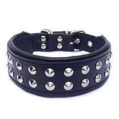 a black leather dog collar with silver studs