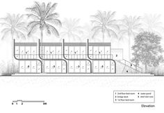 an architectural drawing shows the steps leading up to a tree - lined area with palm trees