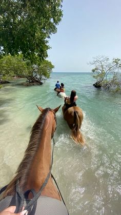 people riding horses through the water on a sunny day