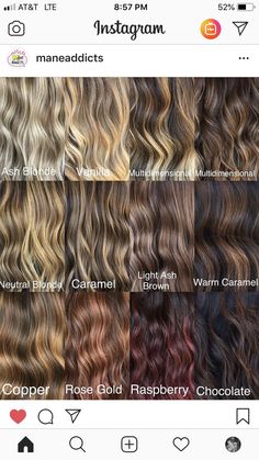 Different Kinds Of Balayage, Hair Colour Ideas For Light Brown Hair, Highlights On Level 4 Hair, Different Types Of Highlights For Hair Brunettes, Highlight Tips Of Hair, Highlight Colors Chart, Level 5 Brown Hair Balayage, Different Color Balayage Hair, Brown Hair With Blonde And Red Highlight Caramel Balayage