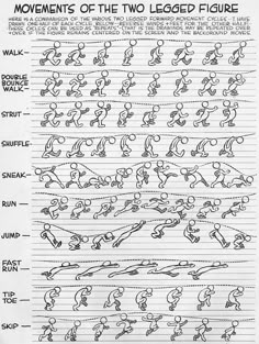 the diagram shows how many different types of legs are made