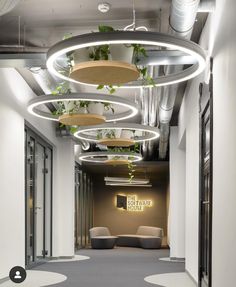 an office hallway with plants hanging from the ceiling and circular lights above it, along with couches